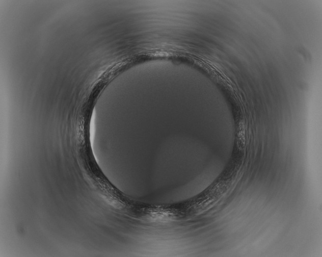 X0000113060547200909250911