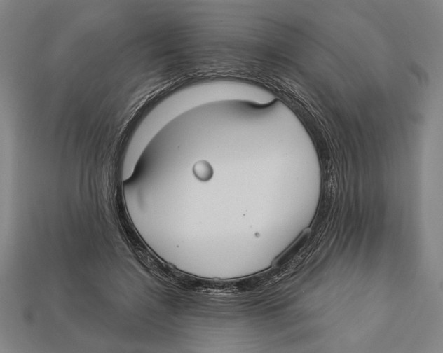 X0000113060548200909250911