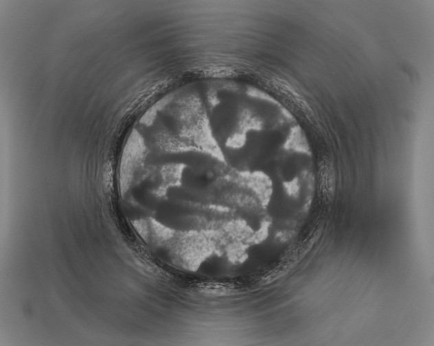 X0000113060549200909250911