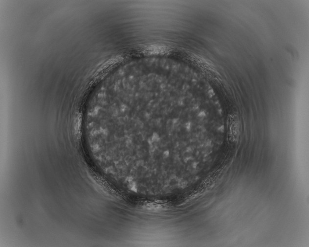 X0000113060550200909250911