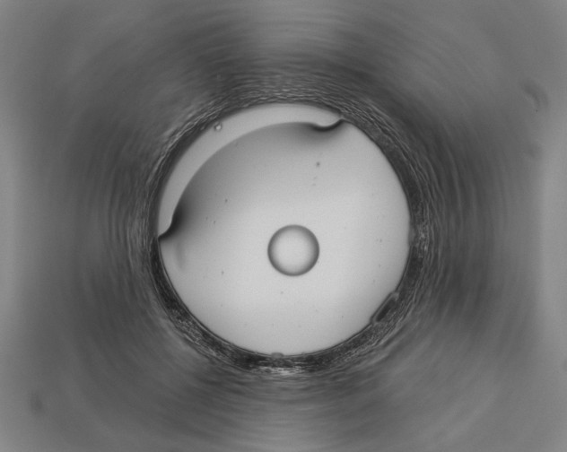 X0000113060552200909250911