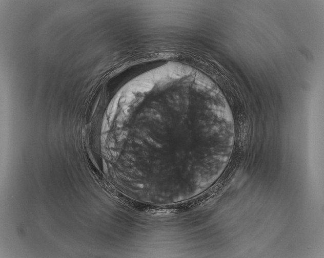 X0000113060553200909250911