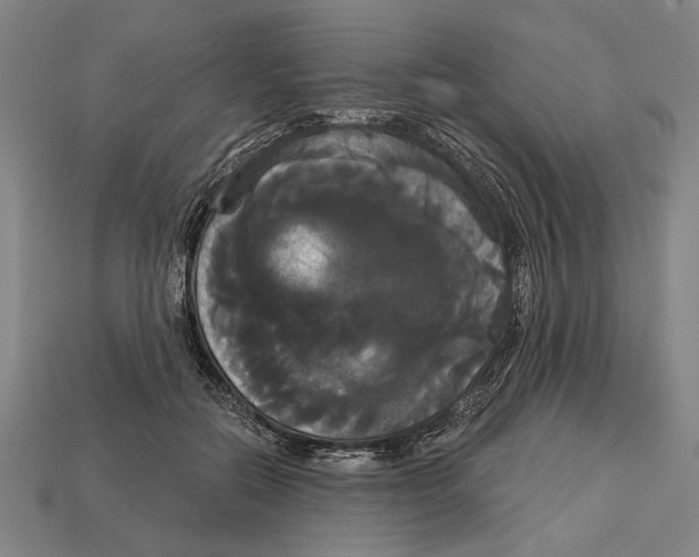 X0000113060554200909250911