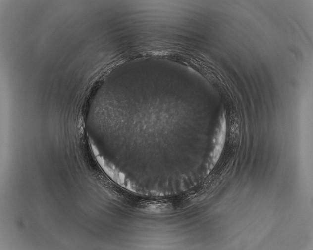 X0000113060555200909250911