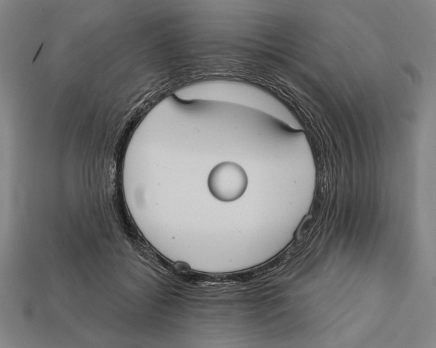 X0000113060556200909250911