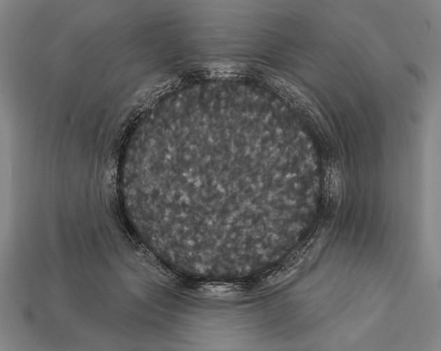 X0000113060557200909250911