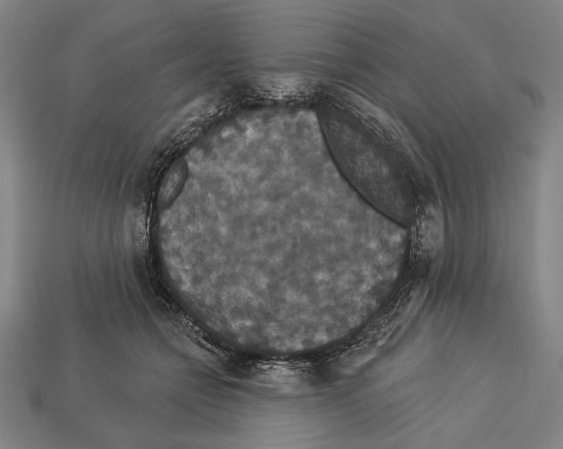 X0000113060558200909250911