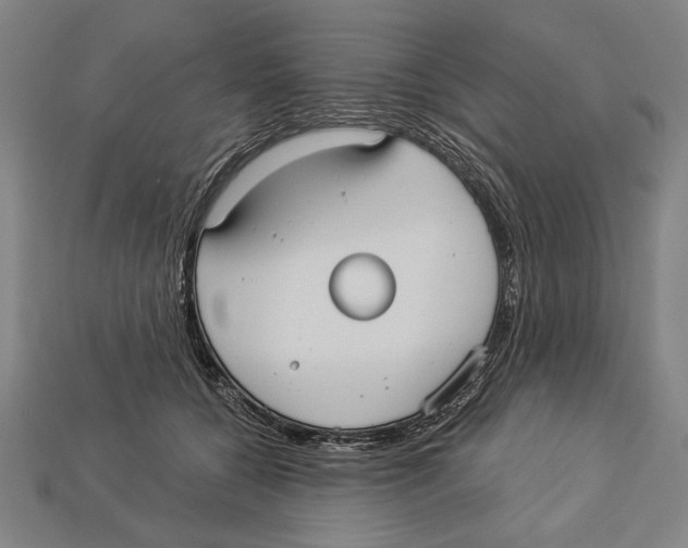 X0000113060560200909250911