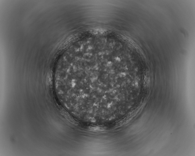 X0000113060561200909250911