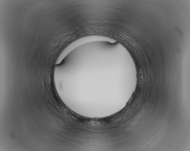 X0000113060562200909250911