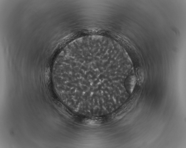 X0000113060563200909250911