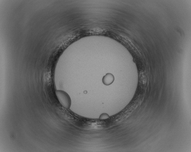 X0000113060564200909250911