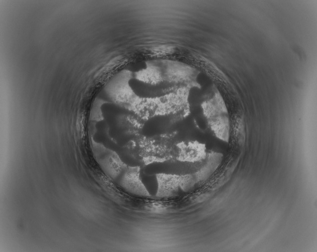 X0000113060565200909250911