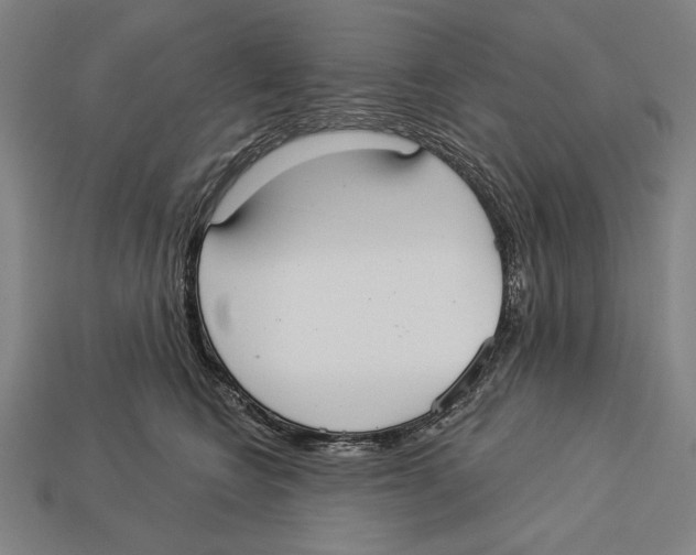 X0000113060566200909250911