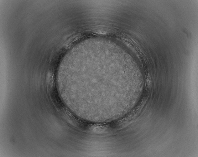 X0000113060568200909250911