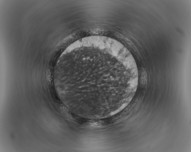 X0000113060569200909250911