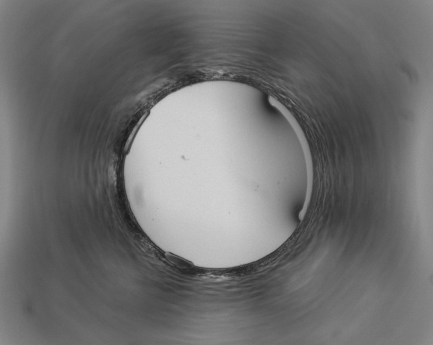 X0000113060570200909250911