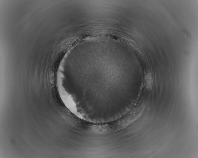 X0000113060571200909250911