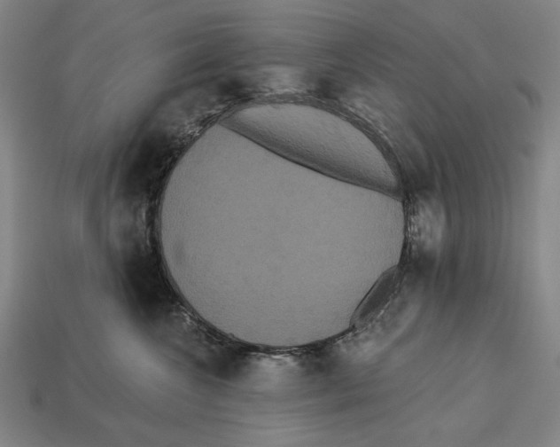 X0000113060572200909250911