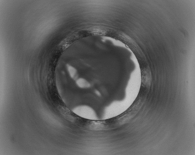 X0000113060573200909250911