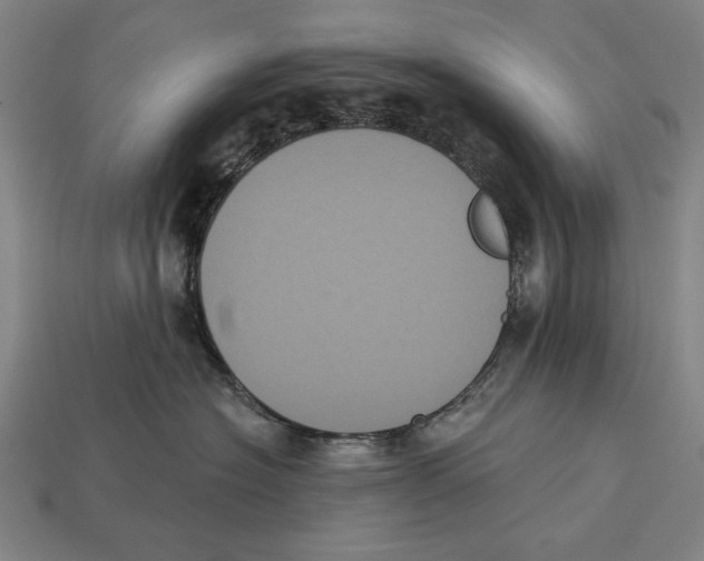 X0000113060574200909250911