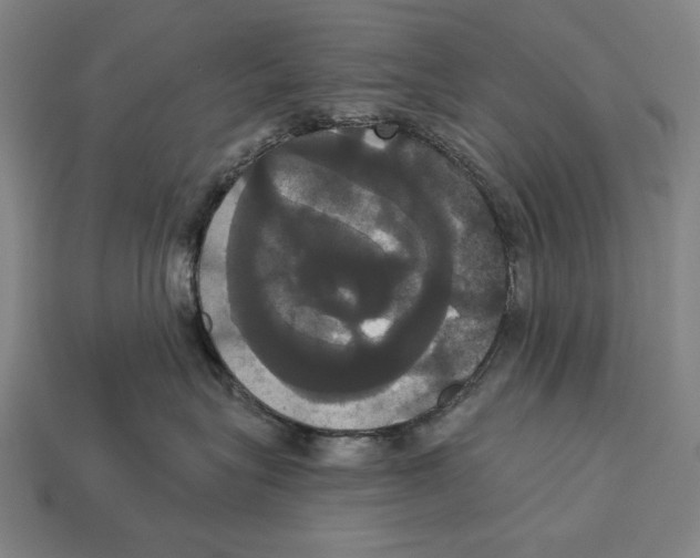 X0000113060575200909250911