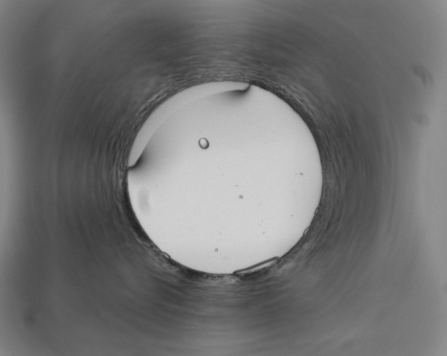 X0000113060576200909250911