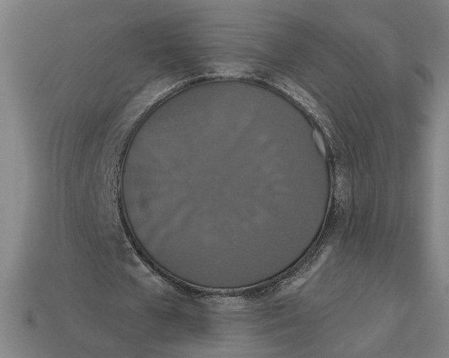 X0000113060577200909250911