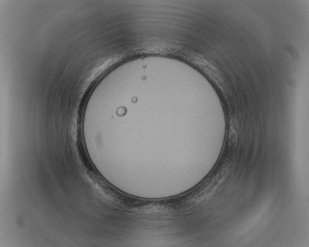 X0000113060578200909250911