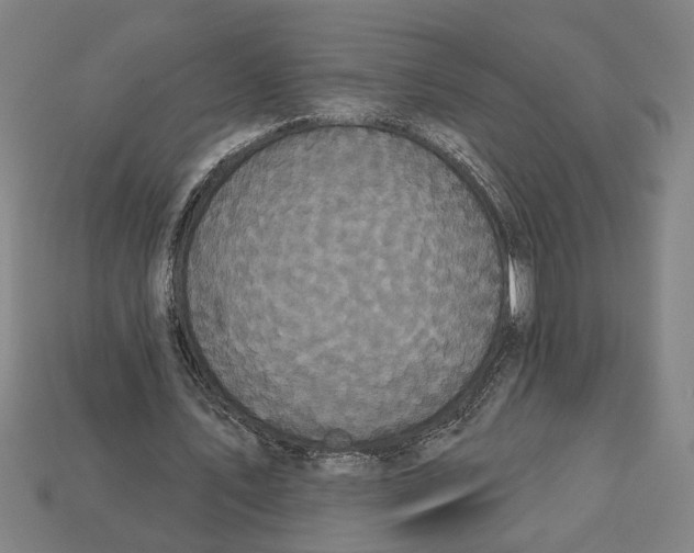 X0000113060579200909250910