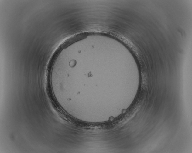 X0000113060580200909250910