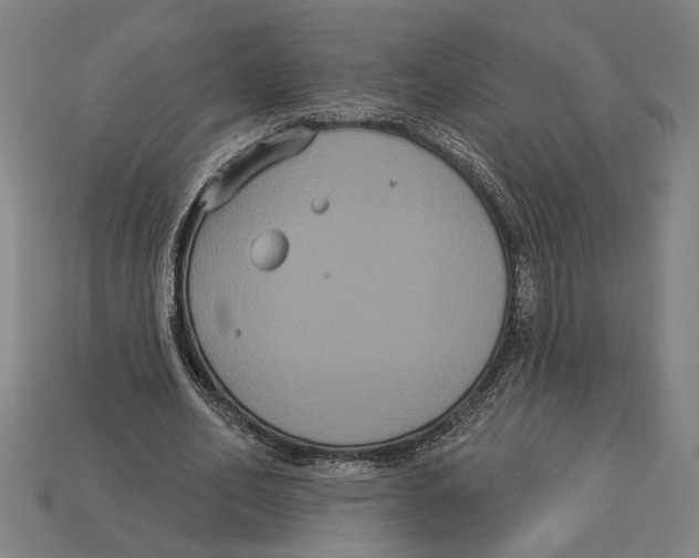 X0000113060582200909250910