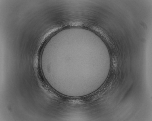 X0000113060583200909250910