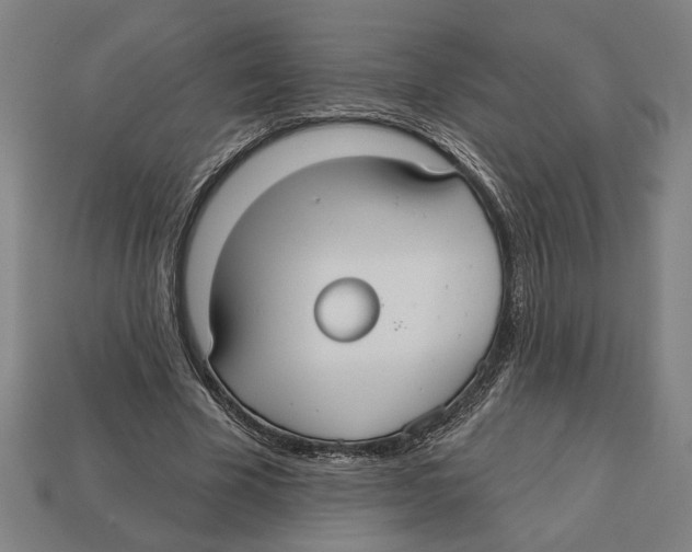 X0000113060585200909250910