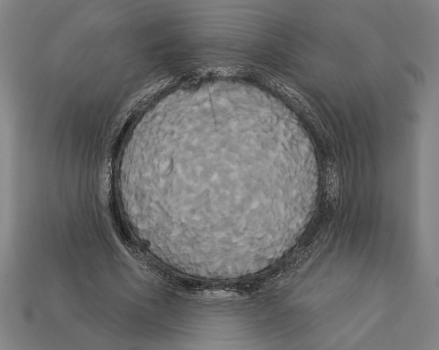 X0000113060586200909250910