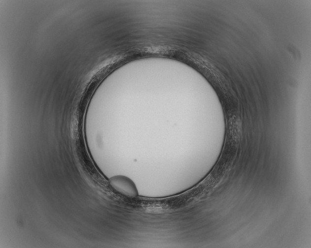 X0000113060587200909250910