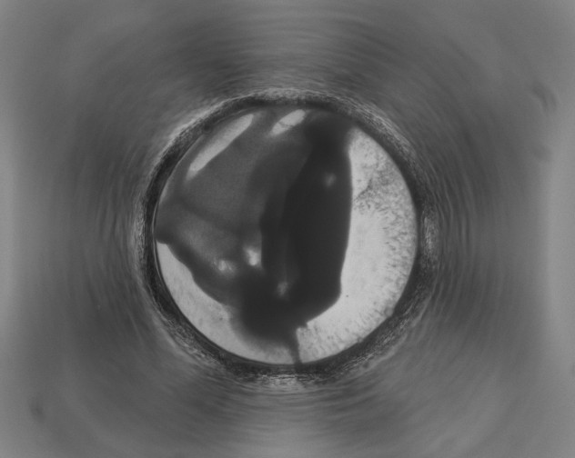 X0000113060588200909250910