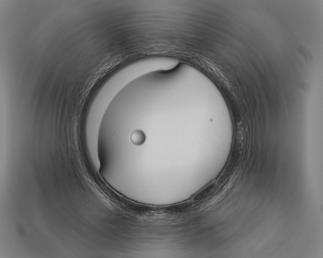 X0000113060589200909250910