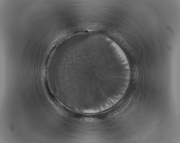 X0000113060590200909250910