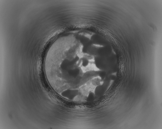 X0000113060591200909250910