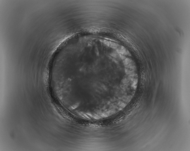 X0000113060592200909250910