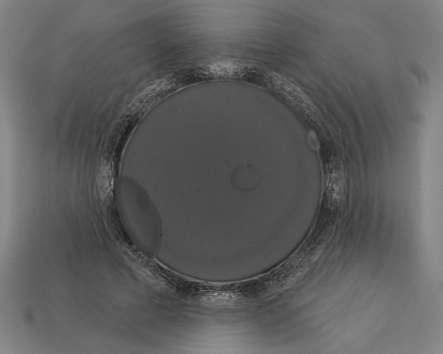 X0000113060593200909250910