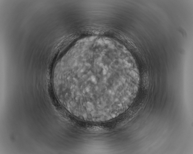 X0000113060594200909250910