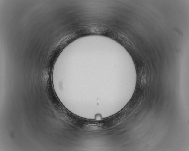 X0000113060595200909250910