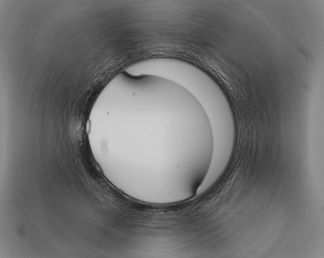 X0000113060597200909250910