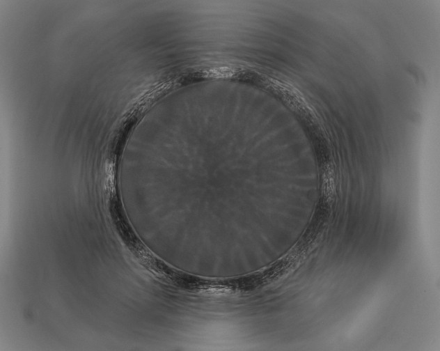 X0000113060598200909250910