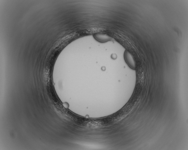 X0000113060599200909250910