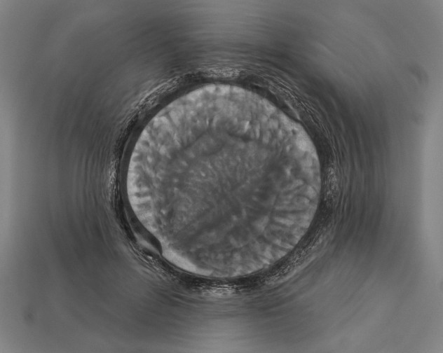 X0000113060600200909250910