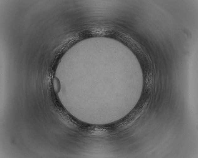 X0000113060601200909250910