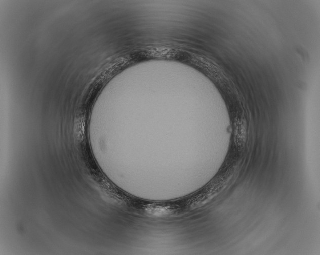 X0000113060602200909250910